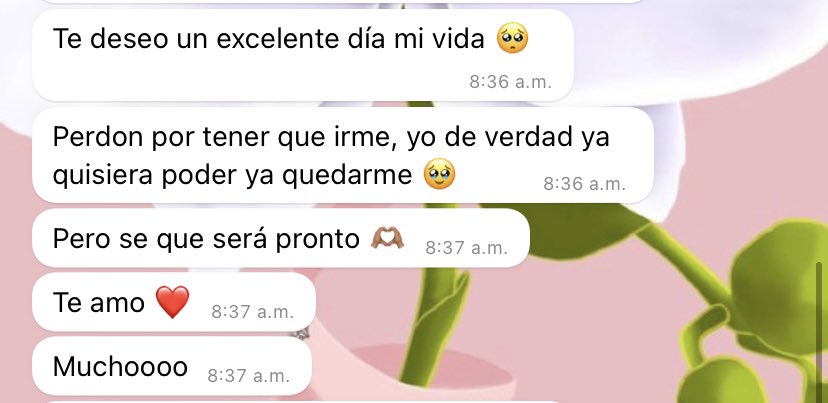 fridaarosas's tweet photo. Ya quiero estar en esa etapa de mi vida en la que ya no me separo de mi amorcito ❤️‍🩹 https://t.co/gjskGkkq1m
