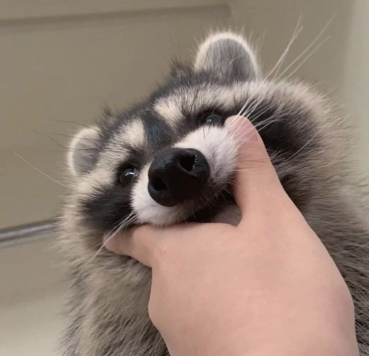 Moochi🌿✨ OUTFIT CONTEST! tweet media