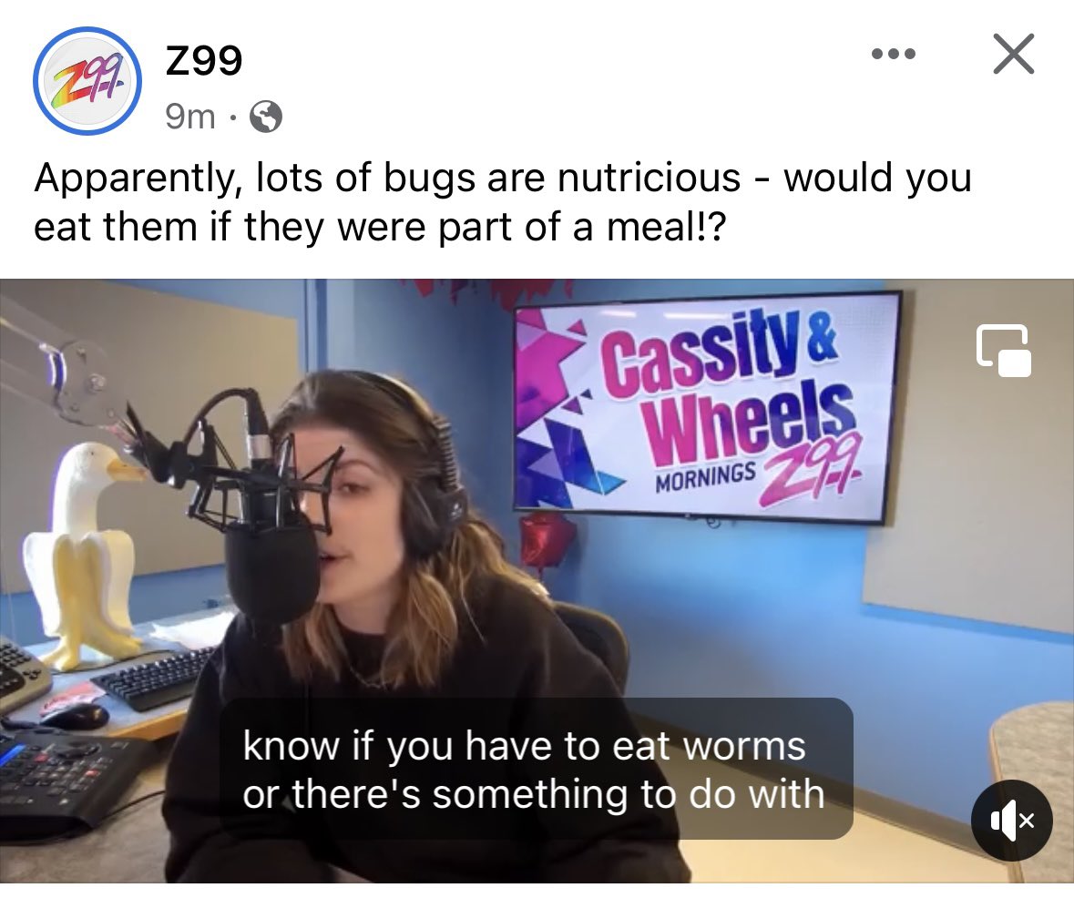 You will eat ze bugs and be happy.
#skpoli #z99