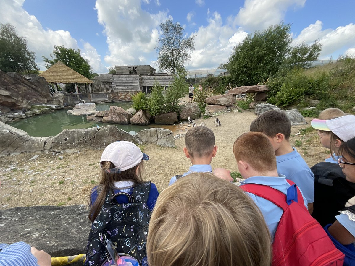 St Chad’s CofE Primary School, Lichfield tweet media