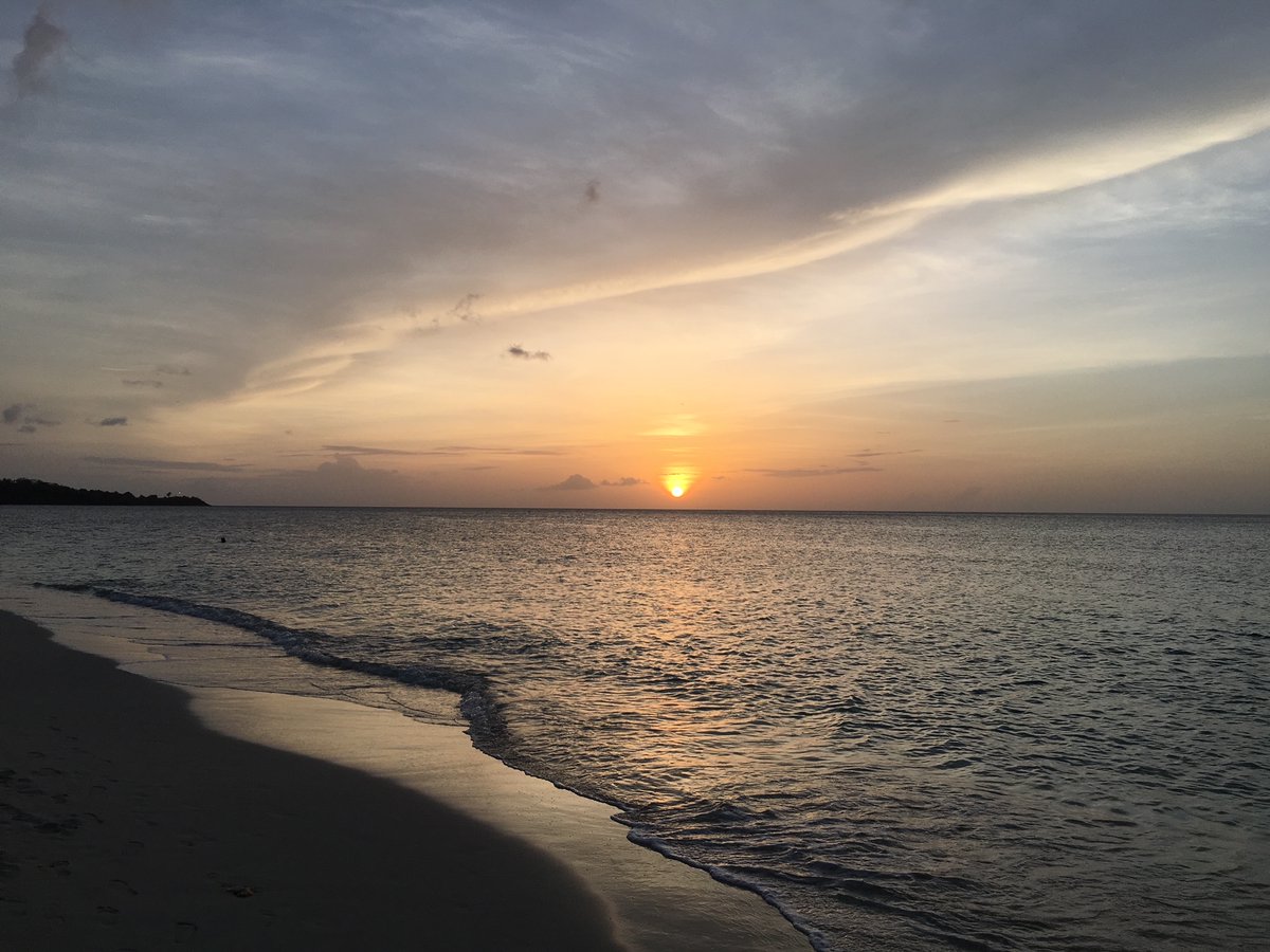 UN's tweet image. UN adopts historic agreement aimed at ensuring the conservation &amp;amp; sustainable use of marine biodiversity in areas covering more than 2/3 of the ocean.

Find out what this means for efforts to #SaveOurOcean: un.org/sg/en/content/…