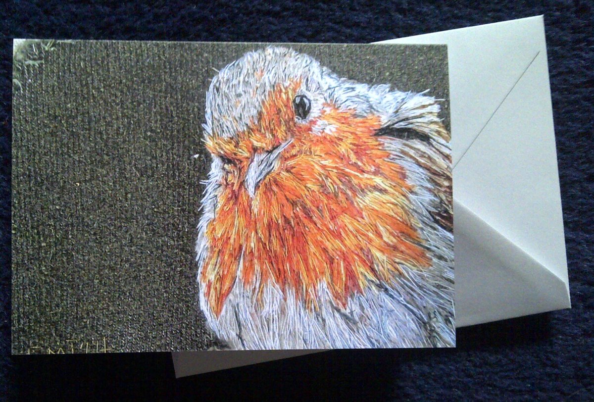 Robin
art greeting cards, blank inside for messages of any occasion.
etsy.com/uk/listing/213…
#EarlyBiz #ad #MHHSBD #BirdArt