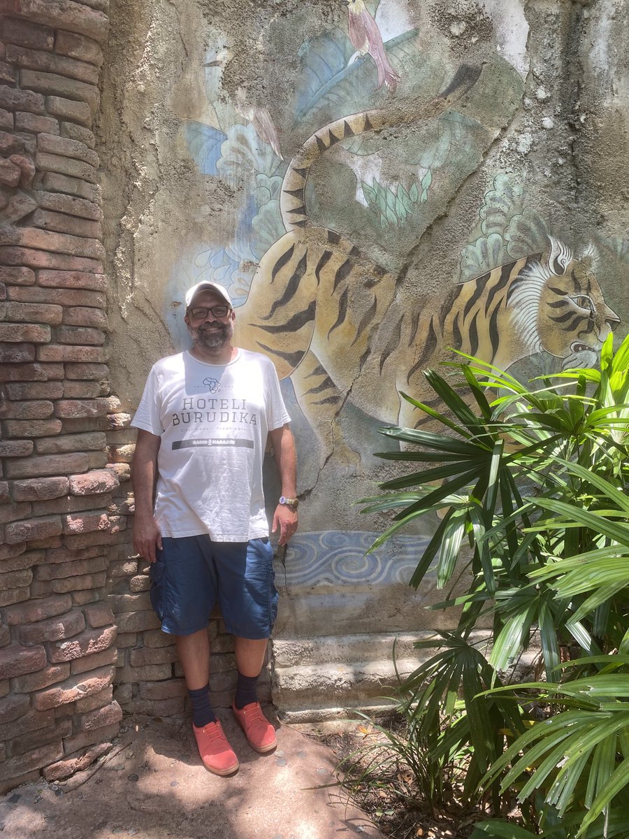 JamboEveryone's tweet photo. #TigerWall https://t.co/Xnxt1BhCiY