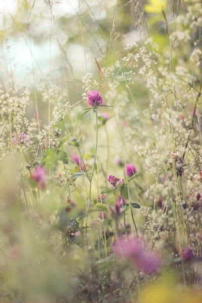 Come to Reality. 
I’d rather see what’s coming at me,
Then being blindsided🍃 rLs 

Have a wonderful week ahead🌾💗
#LoveOneAnother #ShowKindness