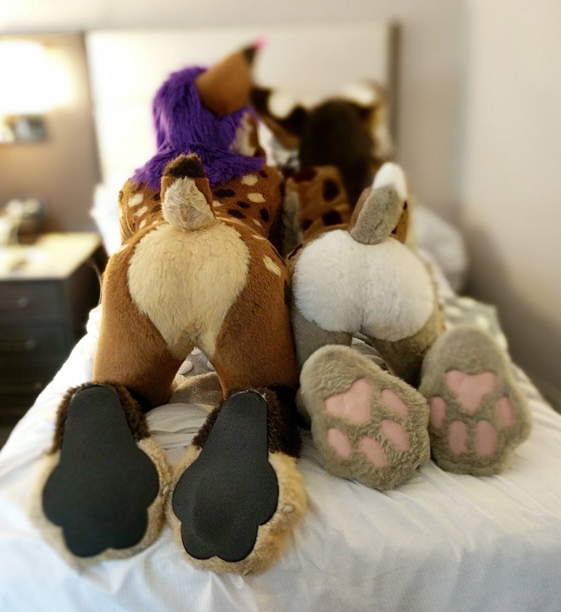 Beans and Butt x2! Featuring <a href="/SmellyStrobes/">Strobes</a> + Unknown suiter (Tag in replies if you know) &lt;3