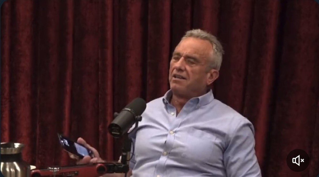 “So it’s a hedge fund and, I can’t tell you how they do it because it’s very complex, but they were up 3612% in March 2020. They hedge these things called tail risks, you can look up the studies. They are just better hedgers, you know?”