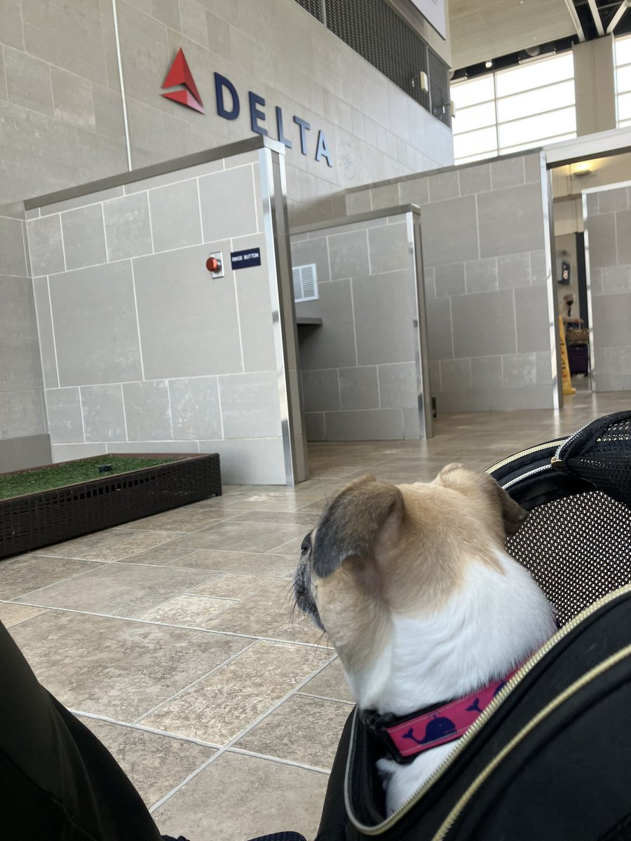 gr8dvm's tweet photo. So many choices, thanks @DTWeetin @Delta https://t.co/sSzz2uypPX