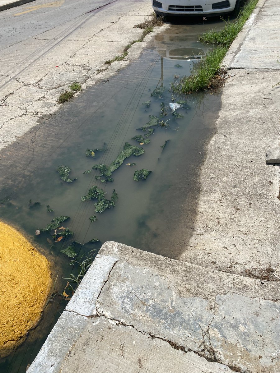laurydx's tweet photo. @TuxtlaSMAPA https://t.co/eqFpvoSquE