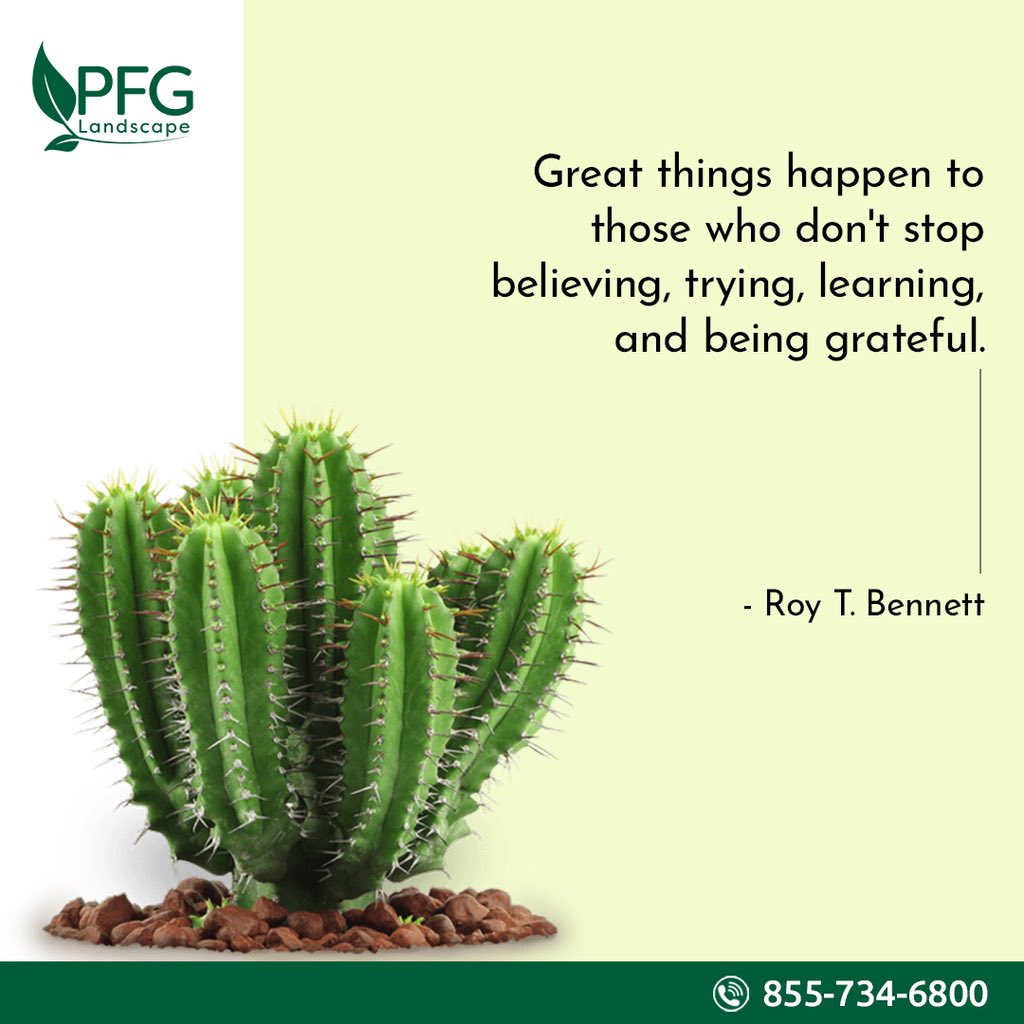Celebrate your successes, learn from your mistakes, and give thanks for every moment.⁣

Keep believing, trying, learning, and being grateful for the amazing things that come your way. ⁣

Take charge of your future and share your story with us!

#PFGLandscape #happymonday