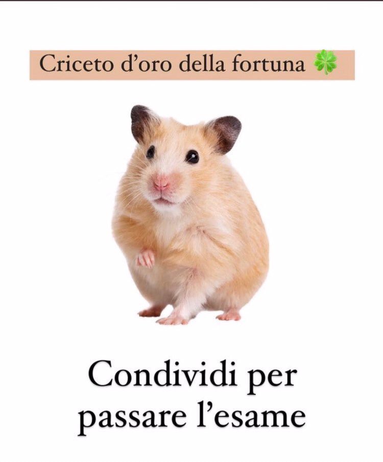 niallsdarIing's tweet photo. serve anche a me ciao 🍀🍀🍀 https://t.co/RJNJYVjIU7