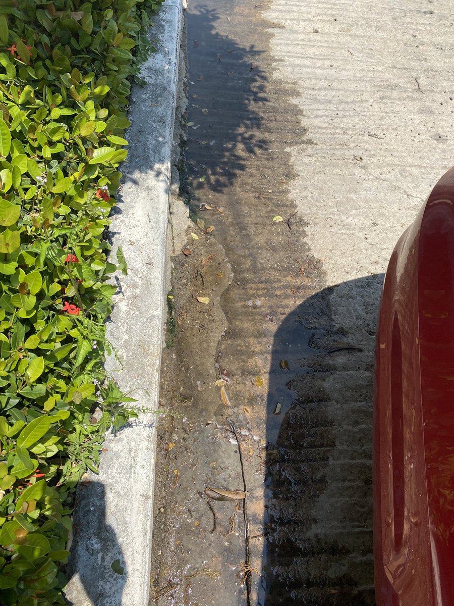 laurydx's tweet photo. @TuxtlaSMAPA espero le pronto seguimiento esta saliendo agua negras frente a mi puerta y hay otros vecinos igual varios registros estas tapados al parece dice un plomero colapso el tubo principal . https://t.co/2oVpK3eCHW