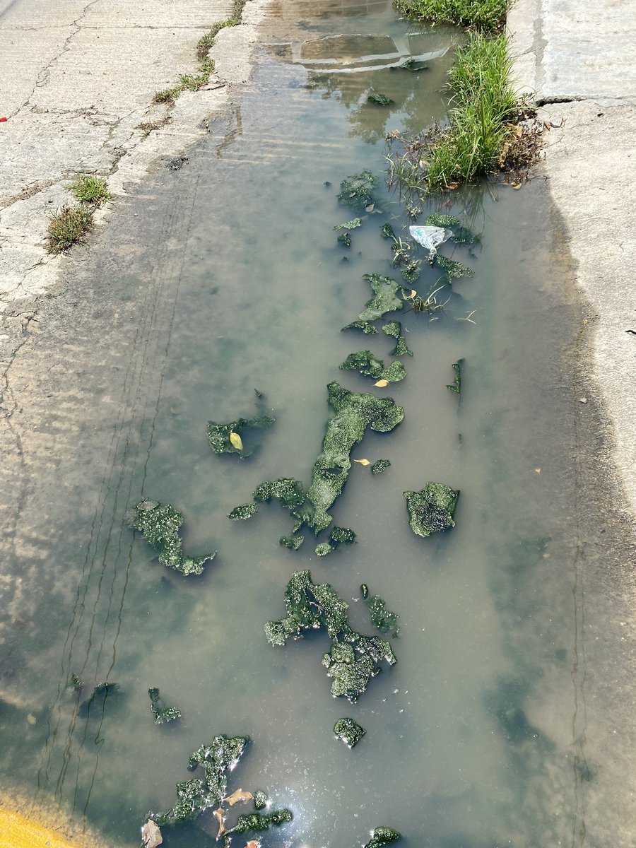 laurydx's tweet photo. @TuxtlaSMAPA espero le pronto seguimiento esta saliendo agua negras frente a mi puerta y hay otros vecinos igual varios registros estas tapados al parece dice un plomero colapso el tubo principal . https://t.co/2oVpK3eCHW