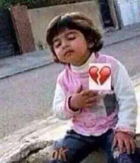مدرسه آنلاین آلاء tweet media