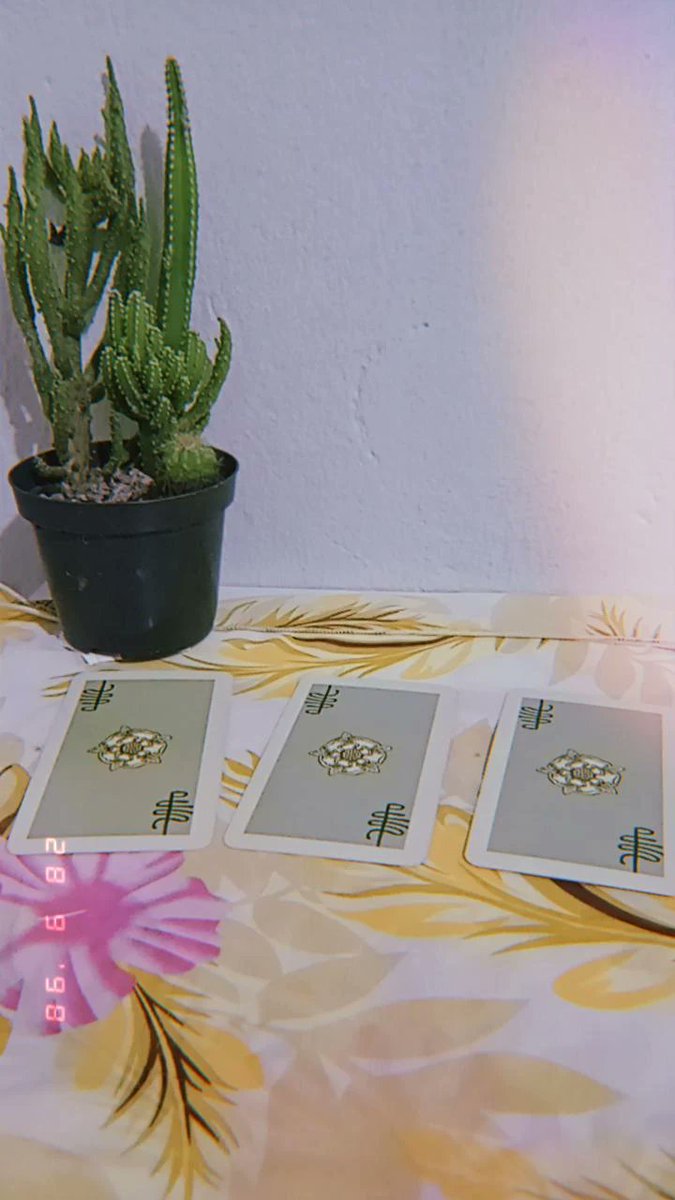 AfetoTarot's tweet image. qual será a energia da minha semana? ✨🃏

respire fundo e escolha uma das cartas abaixo (1, 2 ou 3)
rt e fav para os resultados ❤️