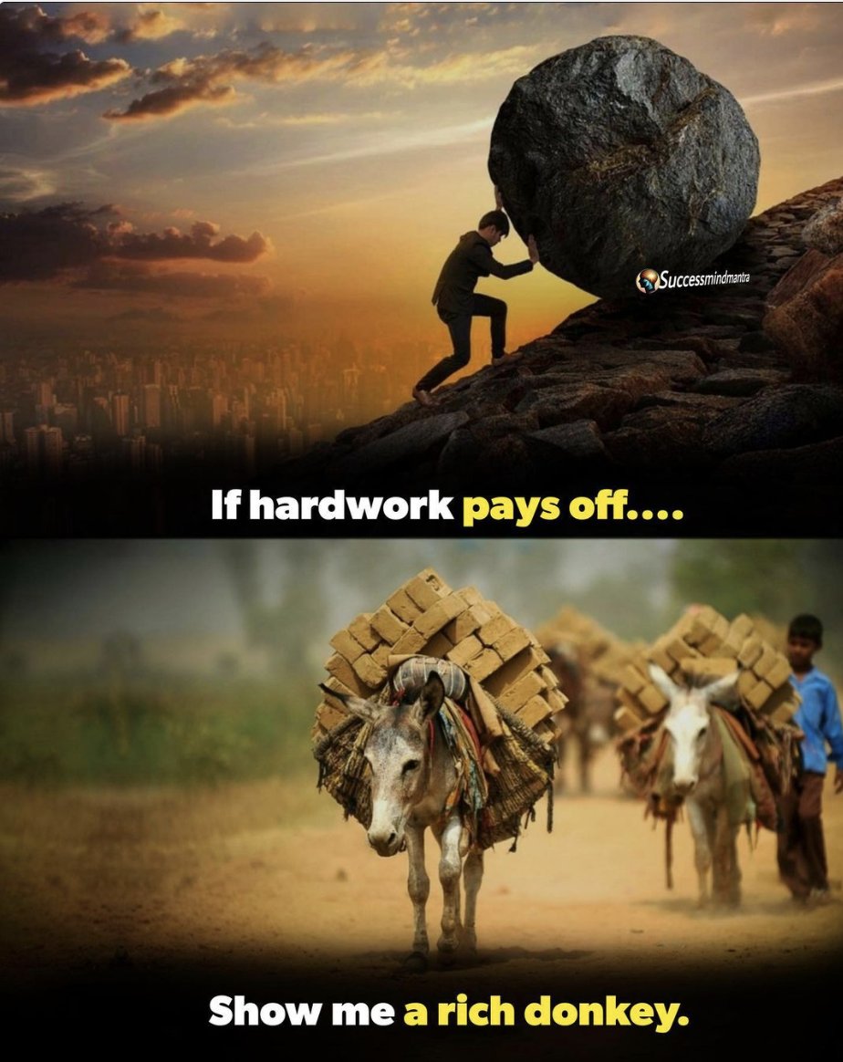 abdurroufai's tweet photo. @ElonMuskAOC https://t.co/GCoL5Ebsit