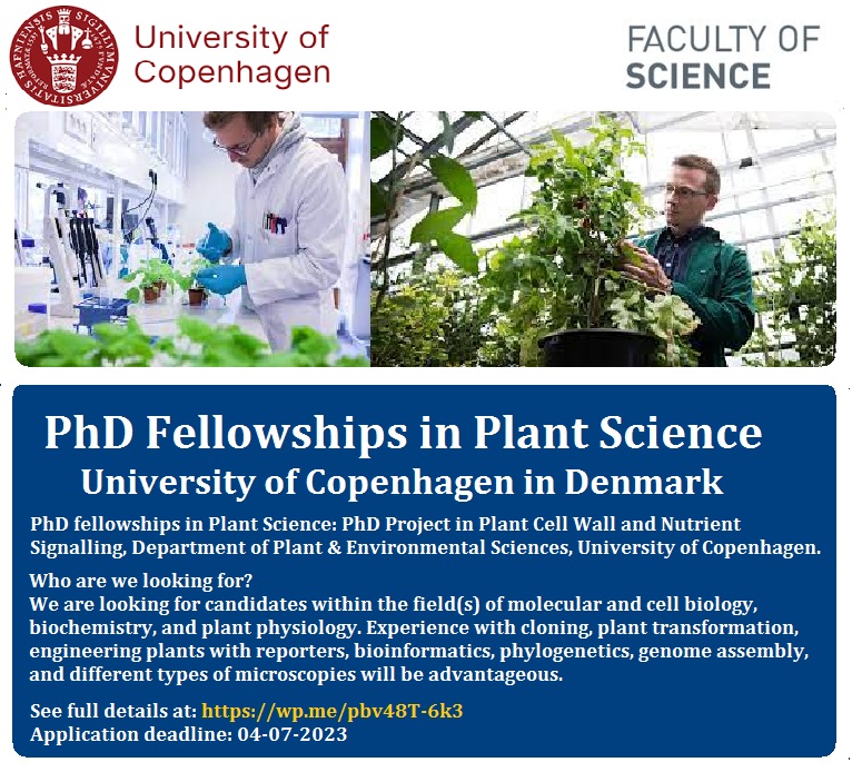 📌 PhD Fellowships in Plant Science at University of Copenhagen in Denmark 🇩🇰... Please Retweet and spread the word! For details visit: wp.me/pbv48T-6k3