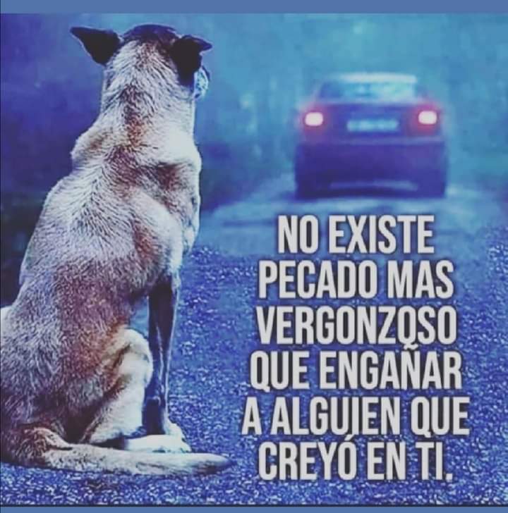 Lo más bajo e indignante es abandonar a un ser inocente.....