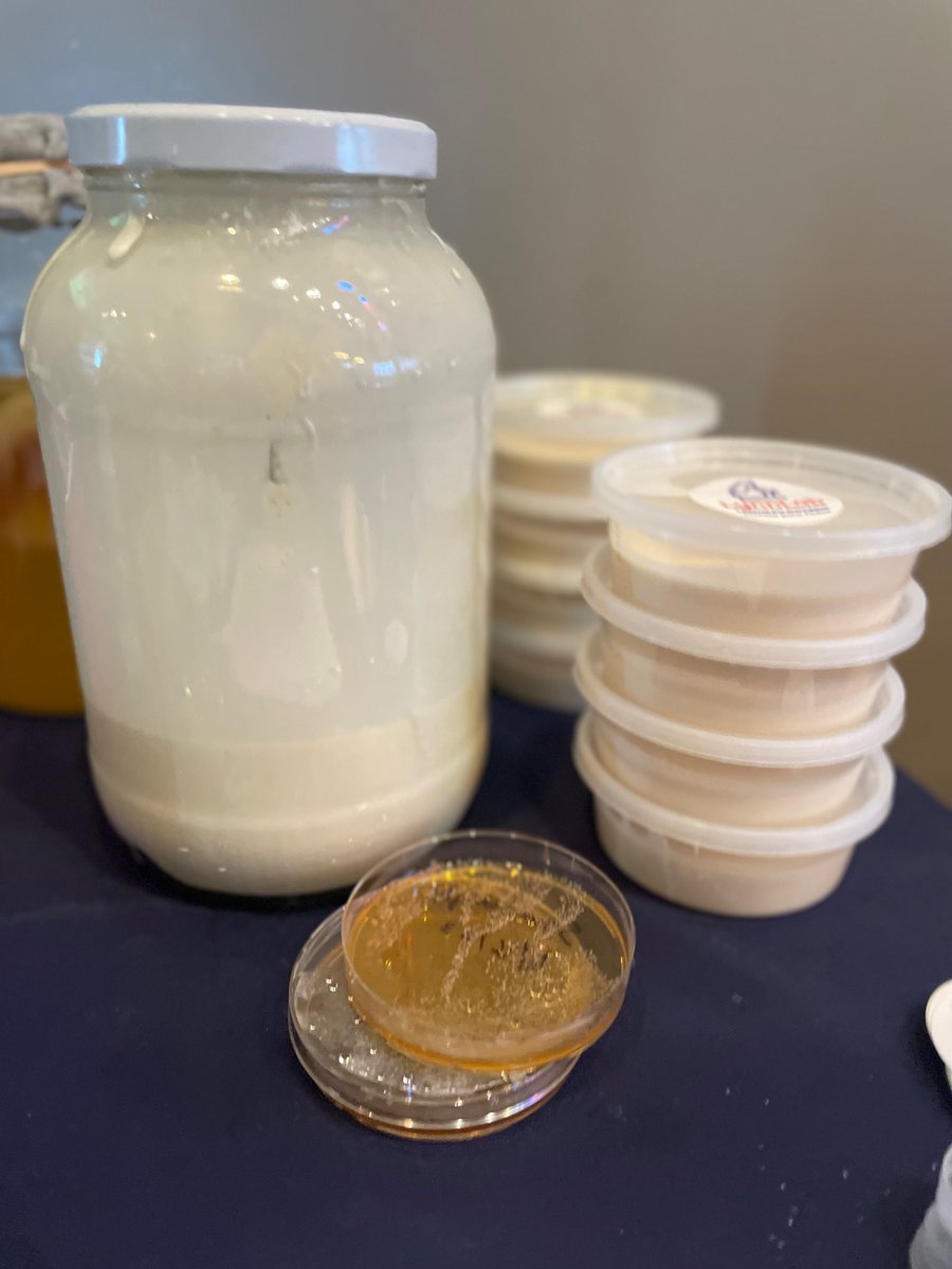 pinkerteach's tweet image. Thank you @bentwaterbrewco for hosting the LynnLab pop-up on Saturday exploring the science of yeast!