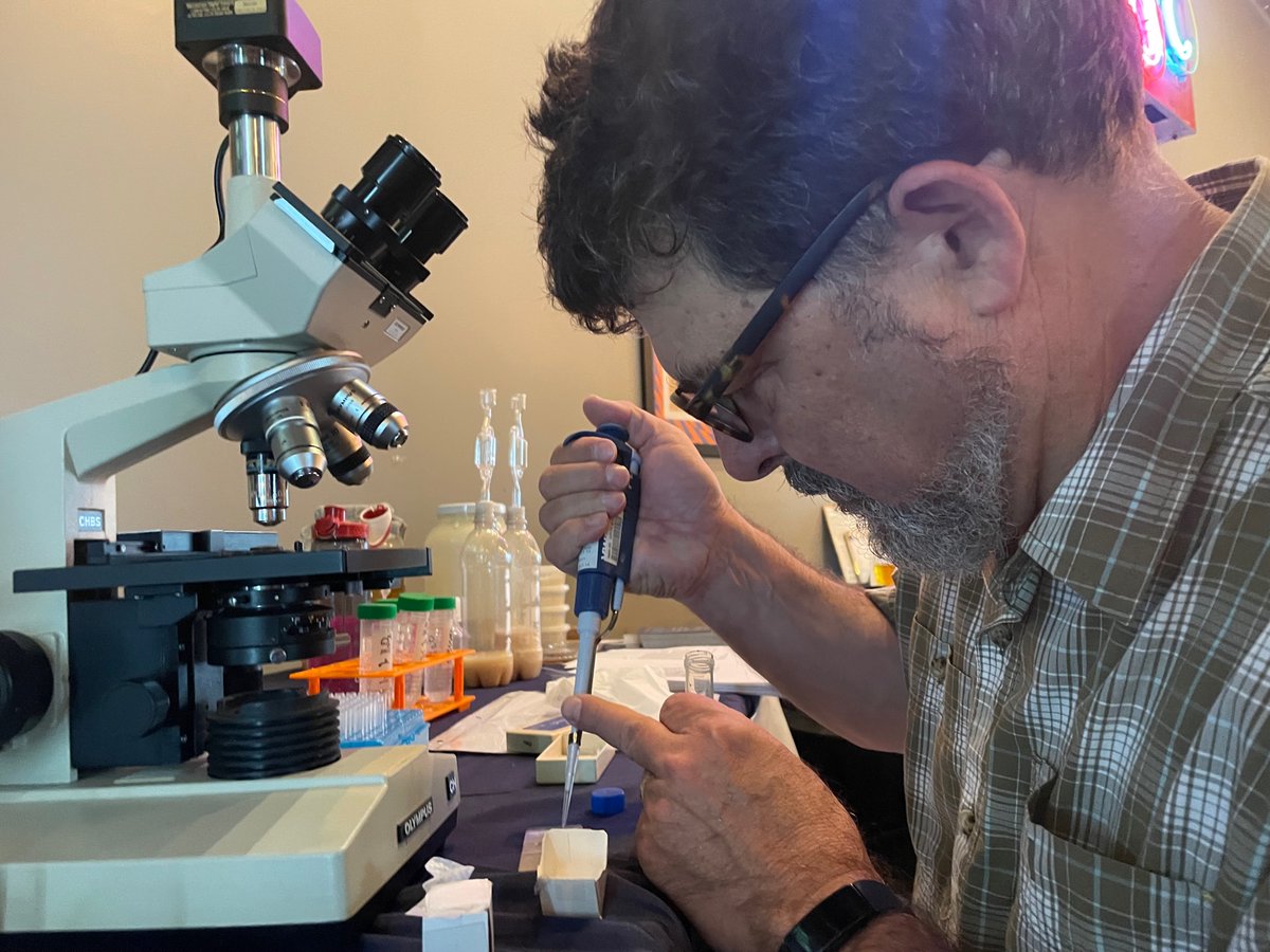 pinkerteach's tweet image. Thank you @bentwaterbrewco for hosting the LynnLab pop-up on Saturday exploring the science of yeast!