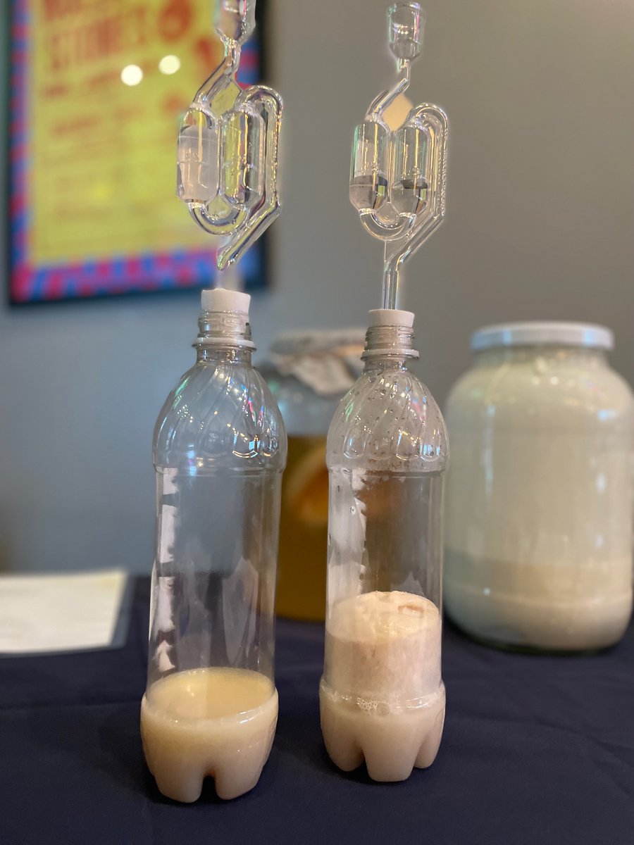 pinkerteach's tweet image. Thank you @bentwaterbrewco for hosting the LynnLab pop-up on Saturday exploring the science of yeast!