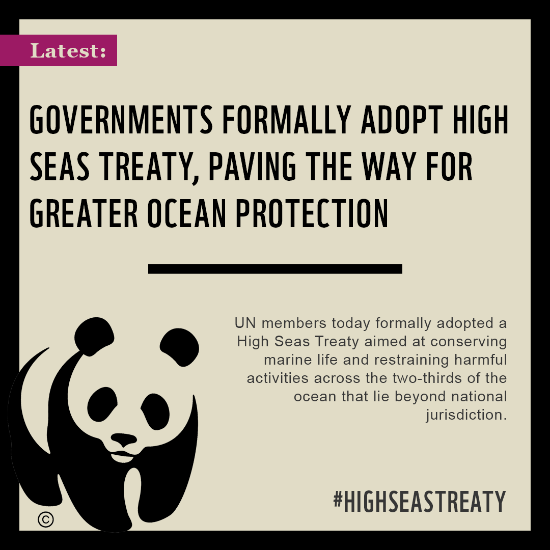 #BREAKING: Following years of negotiations, countries officially adopt the #HighSeasTreaty.

This historic agreement creates a framework to protect this vital part of our ocean; conserving marine life & restricting practices that can harm our blue planet. 

#BBNJ @WWFLeadOceans