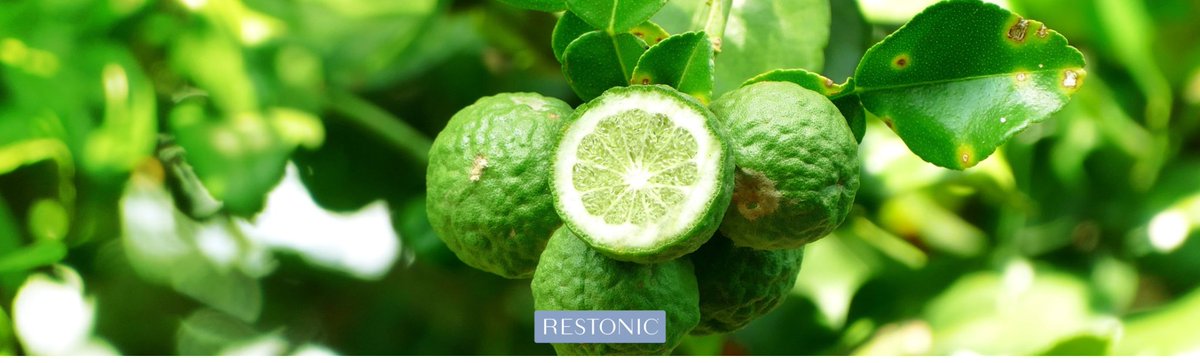 Need a little pick-me-up this afternoon? Sniff your way to stress reduction with the citrusy, bright smell of bergamot. ow.ly/LP9hH #sleepblog
