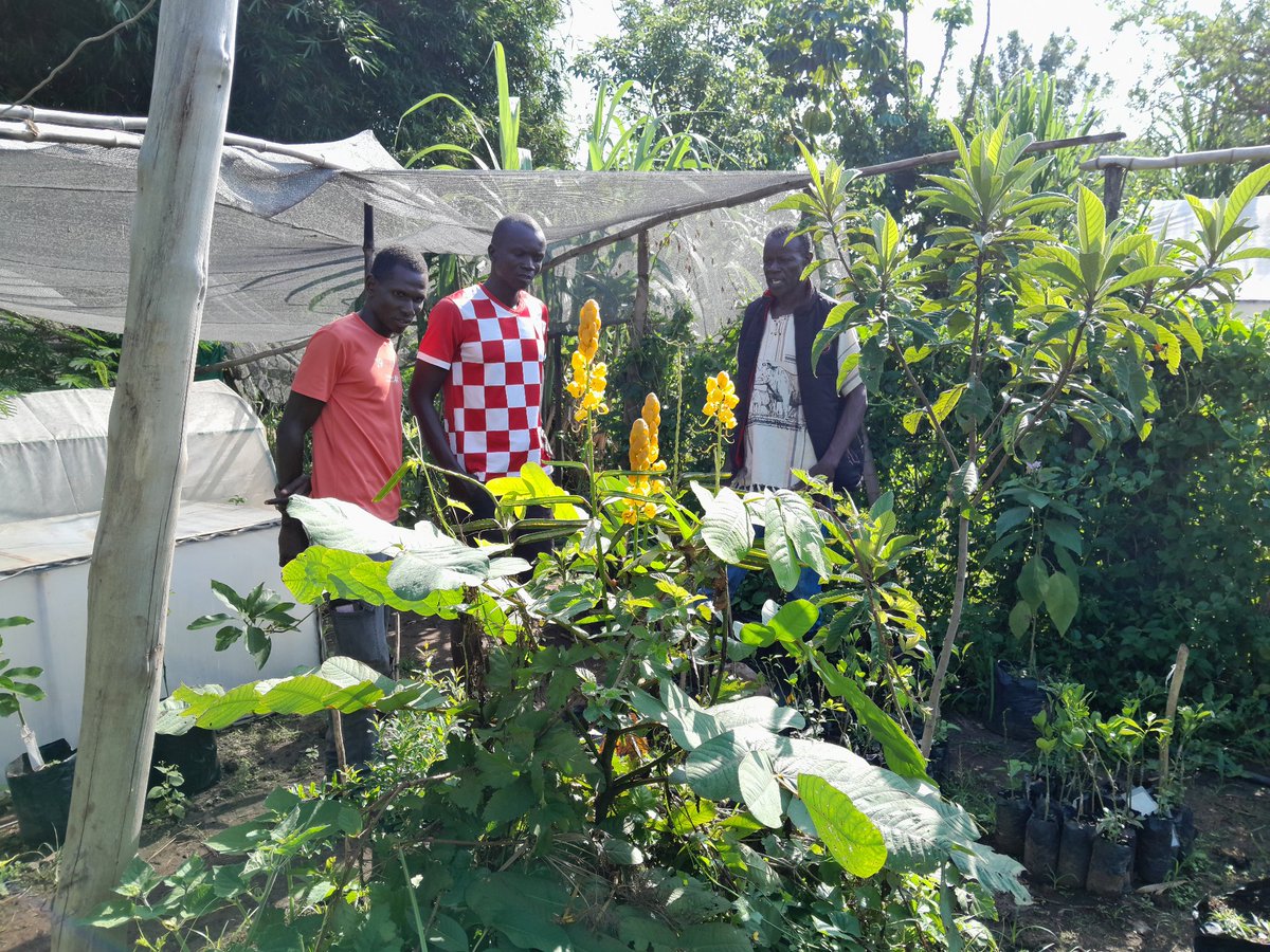 Learning never stops. Today morning we visited #MixaFarm Kisumu where we were able to learn about #BlackSoldierFly farming, Cricket farming, Poultry, horticulture and setting up green houses. We also interacted with various machineries fabricated locally within the farm 1/2