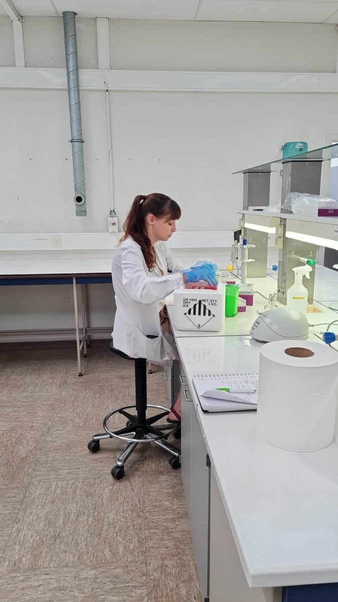 Nikol KMENTOVA (@kmentovanikol) on Twitter photo The perfect start of our collaboration with <a href="/SytskeW/">Sytske de Waart</a>
from @museumnaturalison barcoding and detection of invasive flatworms. Thanks for the exiting seminar! <a href="/BiTE_UHasselt/">BiTElab</a> <a href="/CMK_Uhasselt/">CMK UHasselt</a> <a href="/MPM_Vanhove/">Maarten Vanhove</a> The perfect start of our collaboration with <a href="/SytskeW/">Sytske de Waart</a>
from @museumnaturalison barcoding and detection of invasive flatworms. Thanks for the exiting seminar! <a href="/BiTE_UHasselt/">BiTElab</a> <a href="/CMK_Uhasselt/">CMK UHasselt</a> <a href="/MPM_Vanhove/">Maarten Vanhove</a>