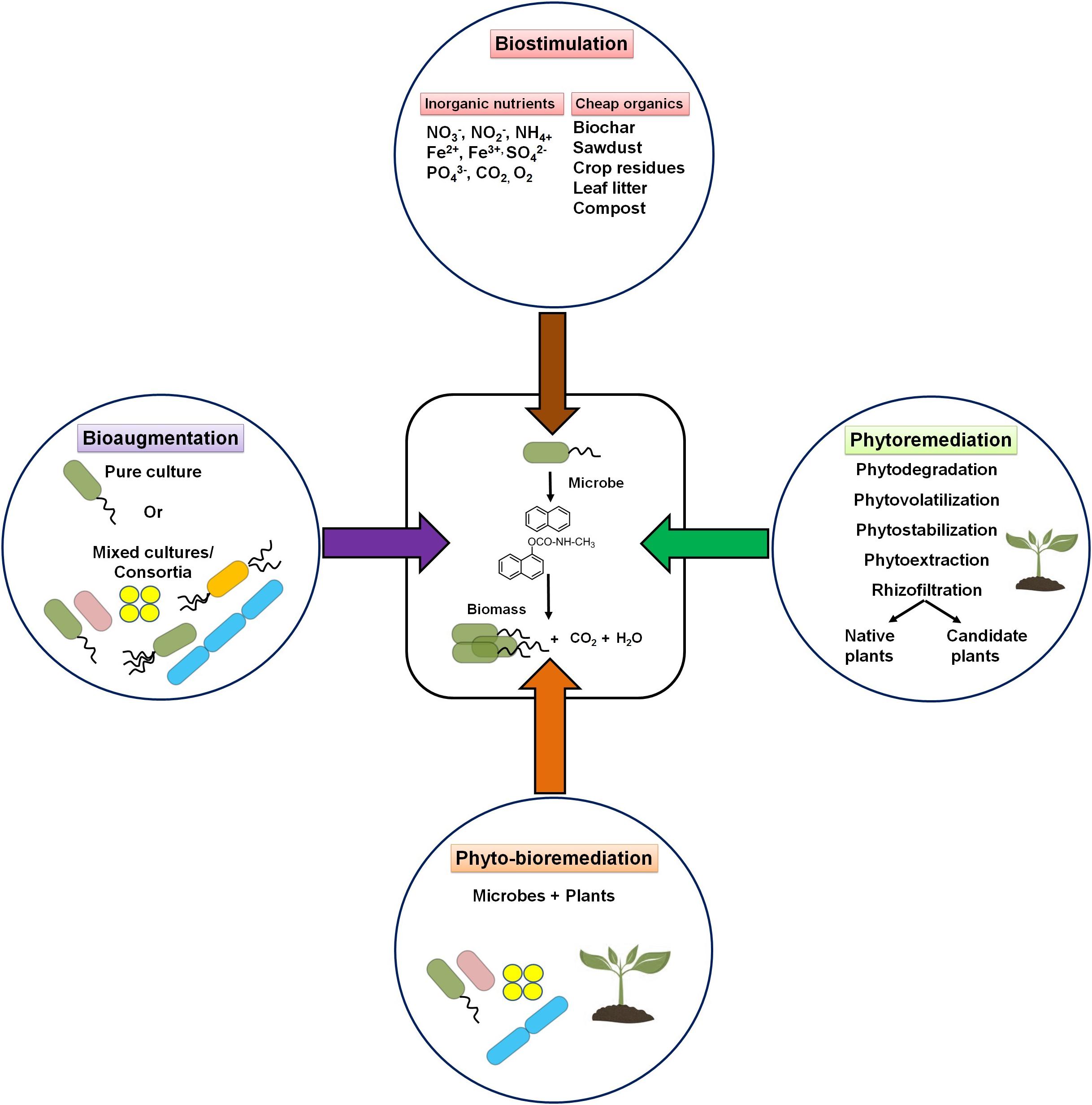 Frontiers in Bioengineering and Biotechnology on Twitter "New Research