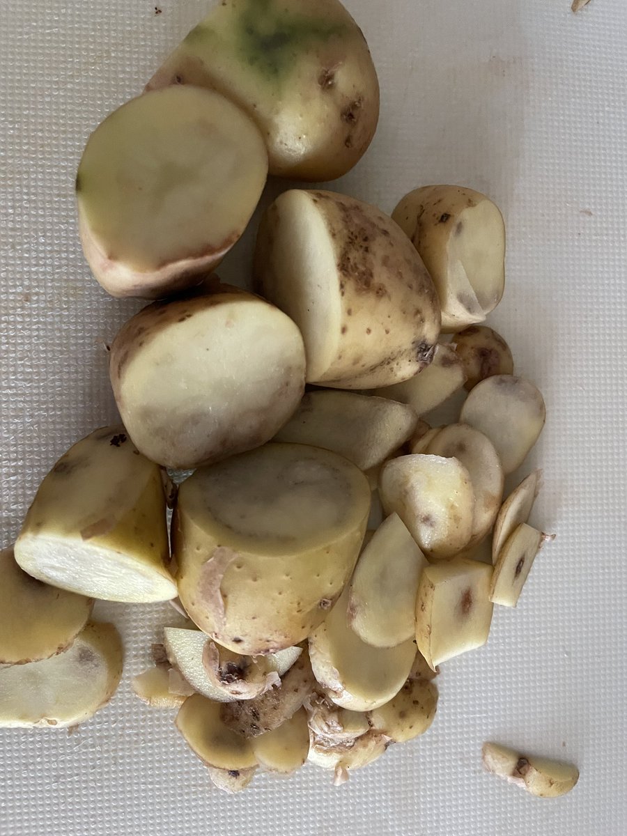 javablack110's tweet photo. @Tesco someone needs to look at quality control. Bought Jersey Royals on Saturday. Thrown a large amount of them away today. Disgusting. https://t.co/Tu18VeGkU5