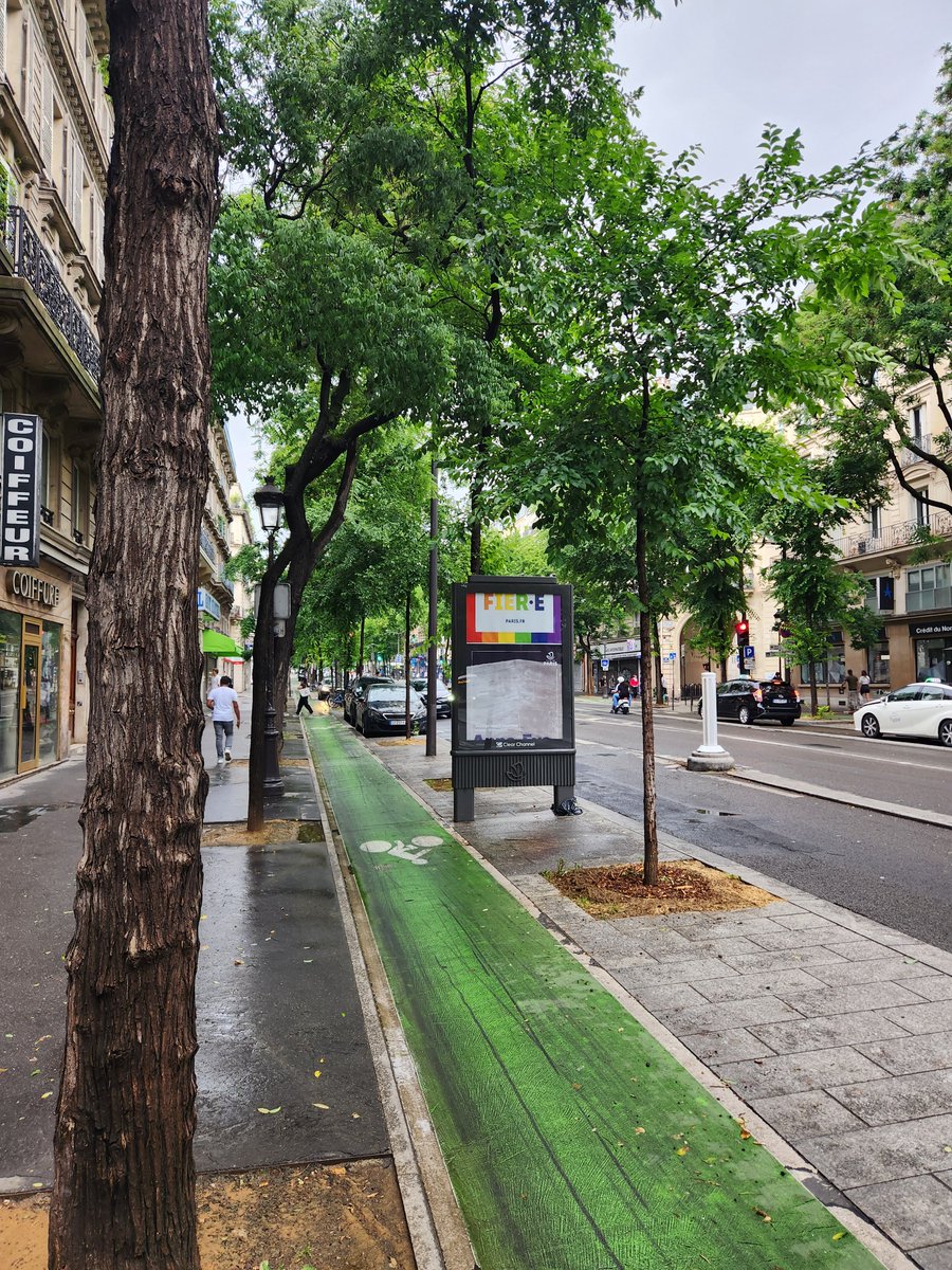 underhelmed's tweet photo. @brianrmcguire Raised bike Lanes, mature trees and new trees (even though #3 not a real alternative given time &amp; funding...). #alamtg #paris https://t.co/As3GjtVCeH