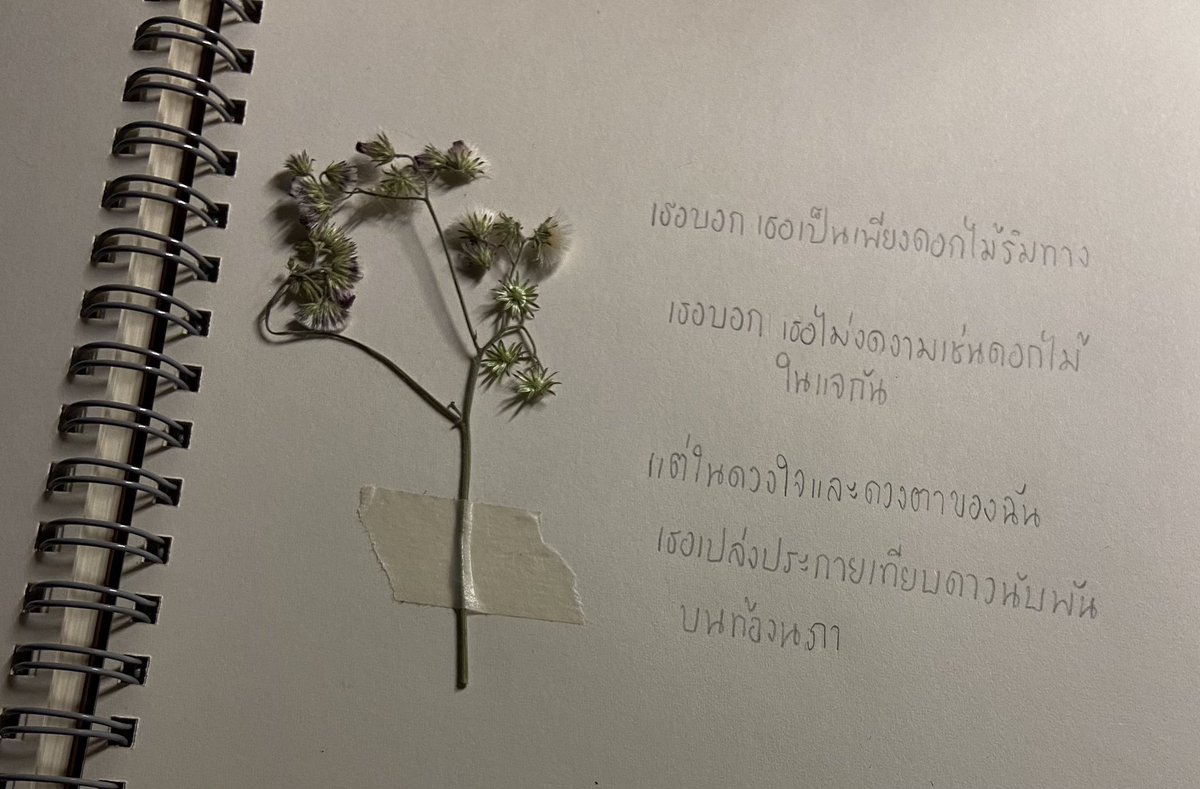 แสนรัก (@bluesouldisease) on Twitter photo 