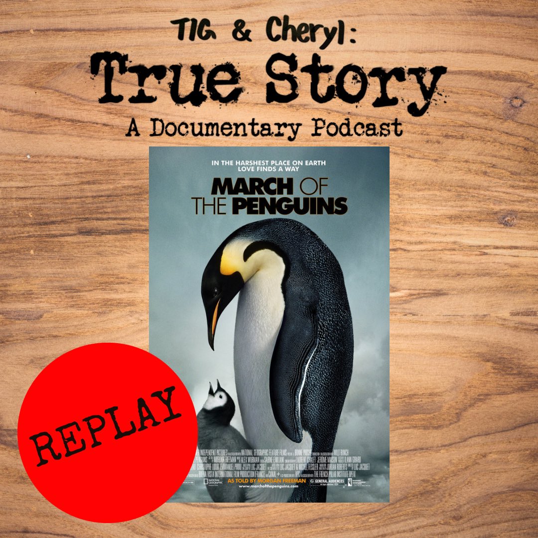 This week’s replay “March of the Penguins” we’re talking all things penguins, including important questions about their anatomy. 🐧⁉️

#tigandcheryltruestory #snerkbols #marchofthepenguins