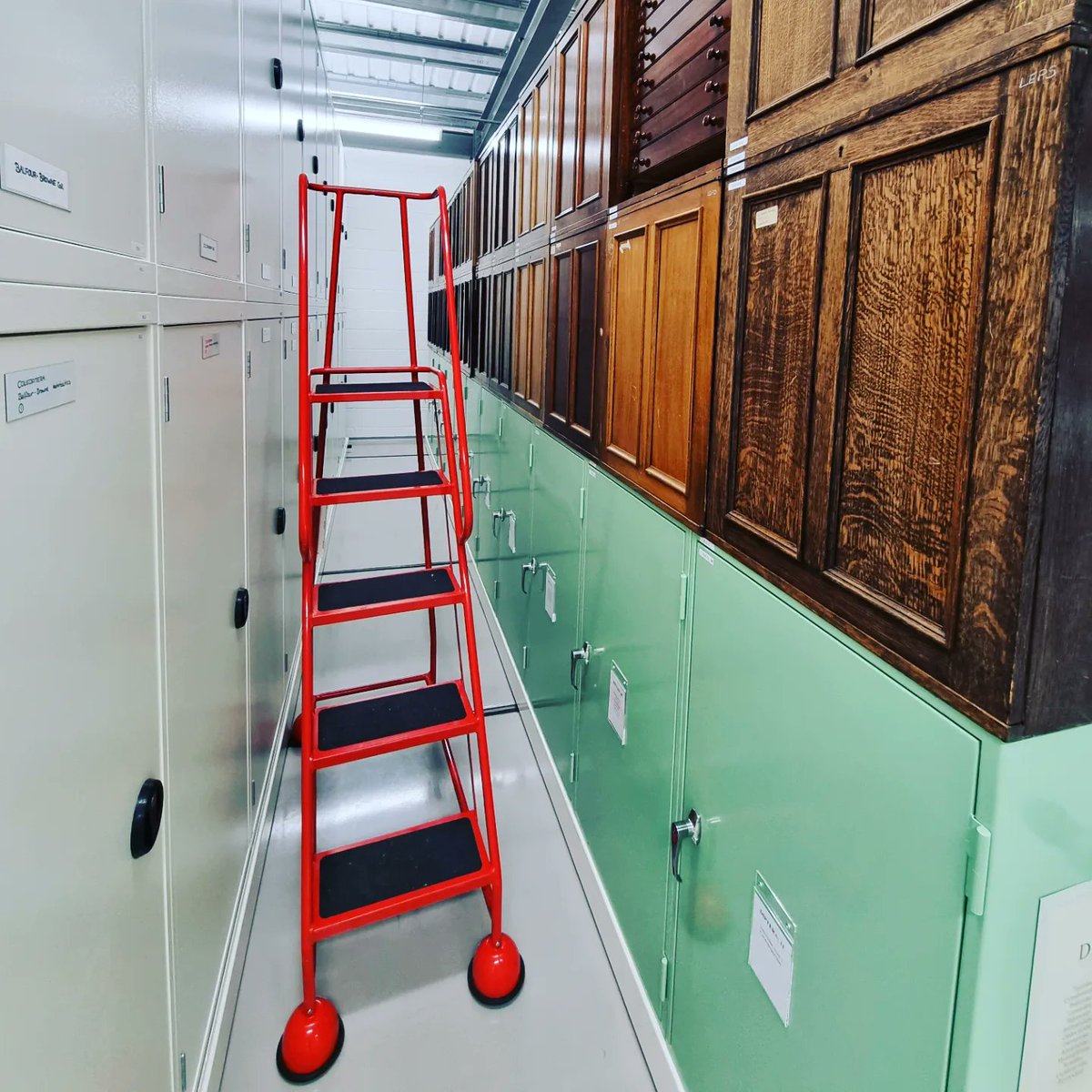 AnnaAitken_'s tweet photo. It's Insect Week's Moth Monday &amp; coincidentally I was at the NMS entomology collection today. Since the start of the year I've been working my way through the cases shown here, and recording the lepidoptera specimens in each of these wooden drawers. https://t.co/WgJHymTNS8