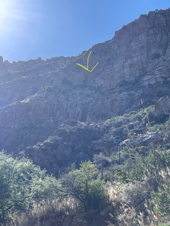 PCSD Search and Rescue tweet media