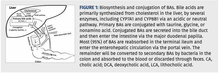 lumosbio's tweet photo. 'Bile Acids are not only essential for food #digestion but also significantly contribute to either the pathogenesis or the treatment of various #gastrointestinal disorders including #liver diseases, disorders of the biliary tract, and #diabetes mellitus'

https://t.co/2QpWk9V0E5 https://t.co/3Ne4wOkIr5