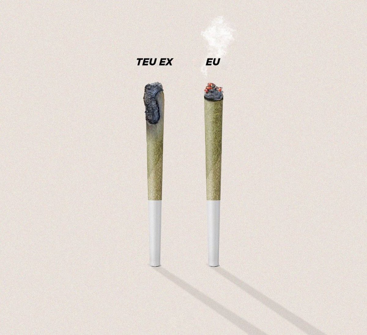 Cannabis Brasil (@canabisbrasil) on Twitter photo 
