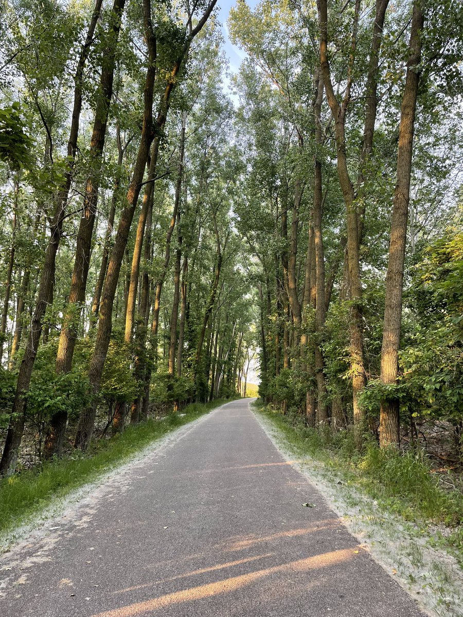 kacenotary's tweet image. Don’t take the road that leads to a notary’s office when we’ll drive to you! As Taylor Swift said on track 4 of Evermore: the road not taken looks real good now. #novi #TaylorSwift #easynotary