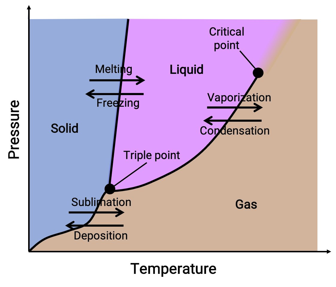 Dr Dan Jones tweet media