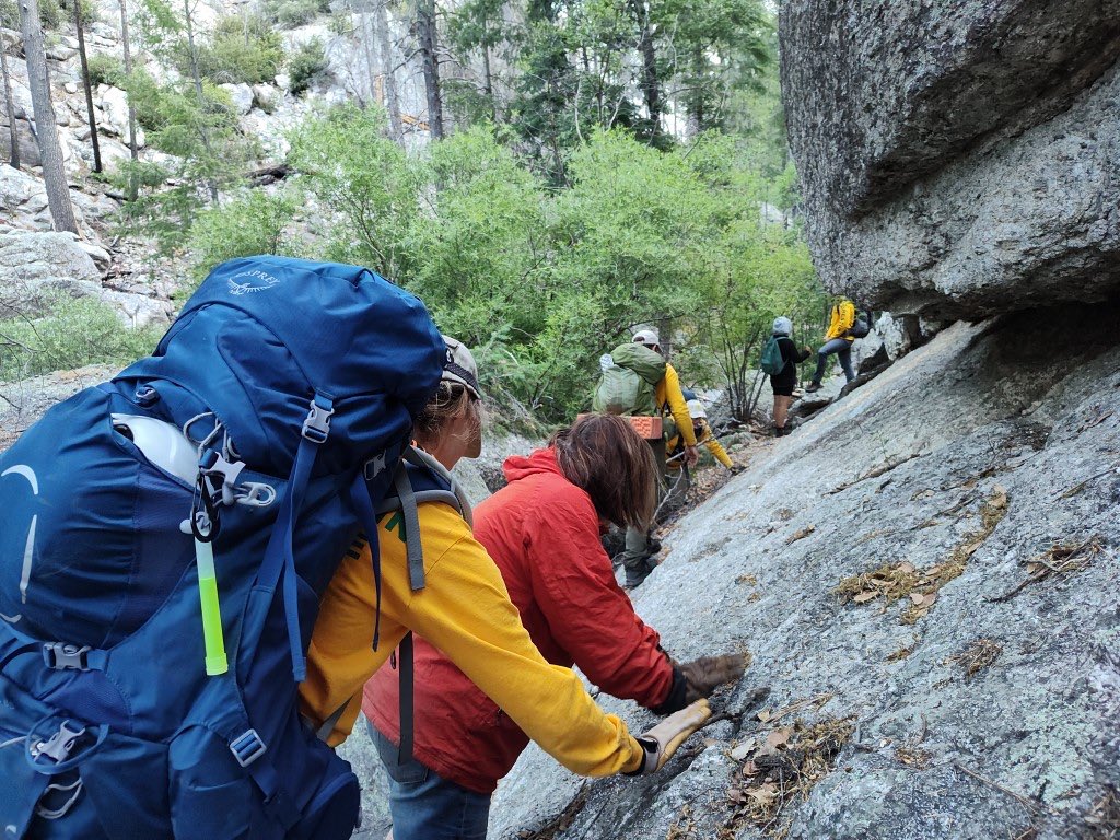 PCSD Search and Rescue tweet media