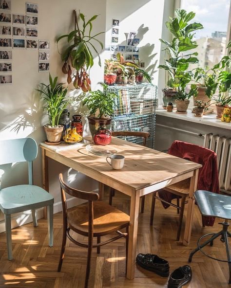 nabataty's tweet photo. ثريـد | 

أسهل وأكثر النباتات صبر و مناسبة لغرف النوم والمكاتب ومنقية للهواء ✨

تحت التغريدة ⬇️ https://t.co/I1ve7z2Ufz