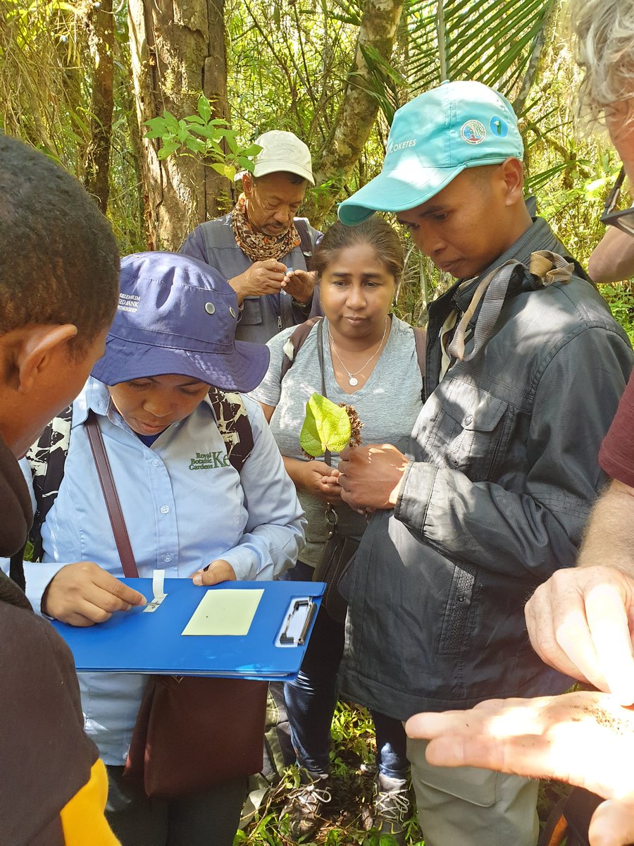 SCT field days complete, back in Antananarivo tired but elated from working with such inspiring people, our @TeamKMCC colleagues, and representatives from <a href="/CentreValBio/">Centre ValBio</a>, PBZT and SNGF. Four more days of training at start tomorrow. Alefa!
