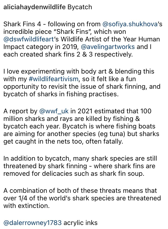 Bycatch

My #new #wildlifeartivism &amp; #sharkfins no. 4, following on from Sofiya Shukhova’s original artwork in 2019, which won <a href="/DSWFWildlife/">David Shepherd Wildlife Foundation</a>’s Human Impact category.

Read the full caption, which explores the #science behind the piece, in the 3rd photo!

<a href="/DalerRowney/">Daler-Rowney</a> #fwinks