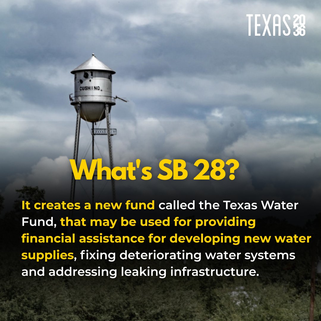 Texas 2036 tweet media