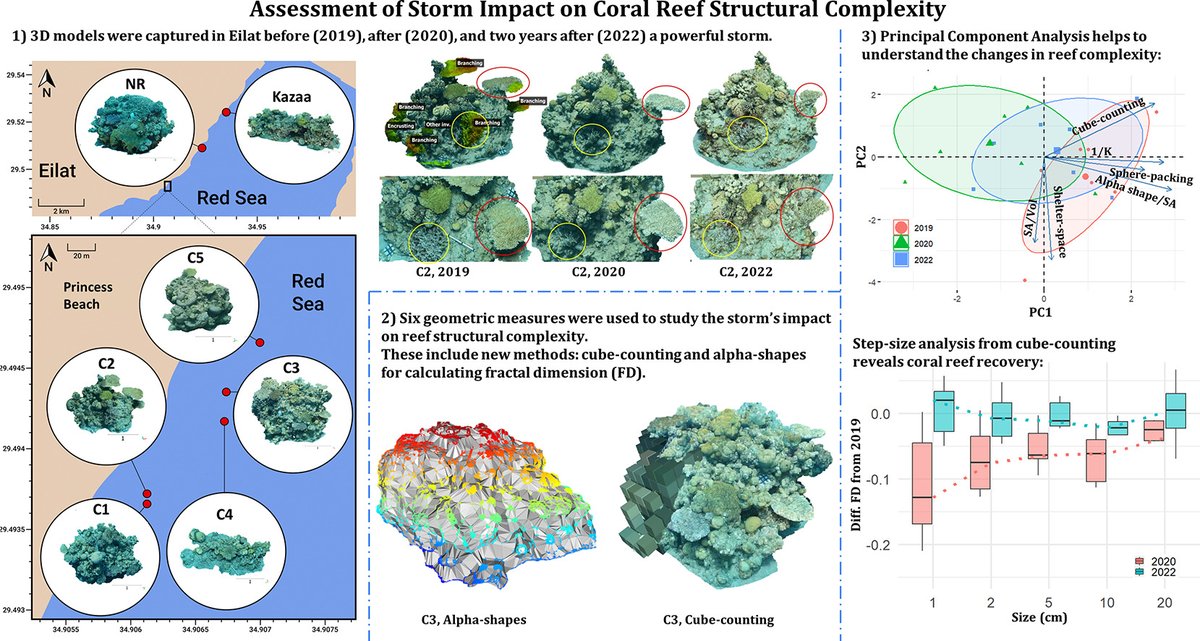 IUI-Eilat (@iui_eilat) on Twitter photo Curious about coral reefs and extreme weather?๐๐ชธ
<a href="/MatanYuval/">Matan Yuval</a>'s groundbreaking study used innovative #3D imaging to uncover the resilience of Eilat reefs before & after the biggest storm in the last 50 years
Read moreโฌ๏ธ
sciencedirect.com/science/articlโฆ
<a href="/TreibitzL/">Treibitz Marine Imaging Lab</a> <a href="/LoyaCoralLab/">The Loya Coral Lab</a> Curious about coral reefs and extreme weather?๐๐ชธ
<a href="/MatanYuval/">Matan Yuval</a>'s groundbreaking study used innovative #3D imaging to uncover the resilience of Eilat reefs before & after the biggest storm in the last 50 years
Read moreโฌ๏ธ
sciencedirect.com/science/articlโฆ
<a href="/TreibitzL/">Treibitz Marine Imaging Lab</a> <a href="/LoyaCoralLab/">The Loya Coral Lab</a>