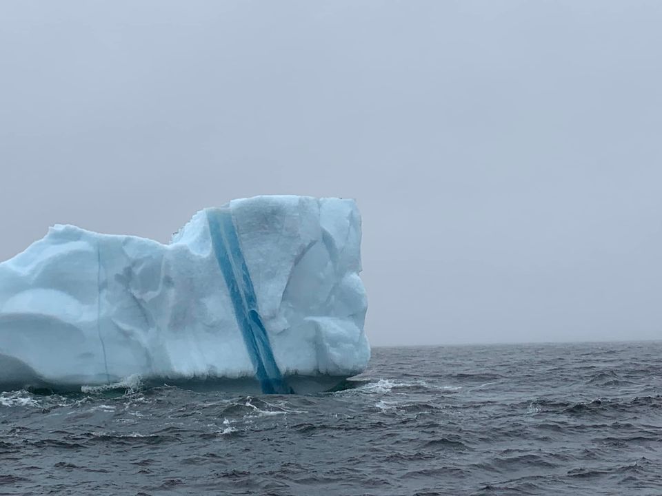 BattleHarbour's tweet photo. Icebergs are just part of the trip when you go to Battle Harbour.
#iceberg #icebergfinder #newfoundlandandlabrador #newfoundland #icebergalley #BattleHarbour #staycationNL #explorenlr #explorecanada #cbcnl #NTVNews #expedition51 https://t.co/liN3CTam2J