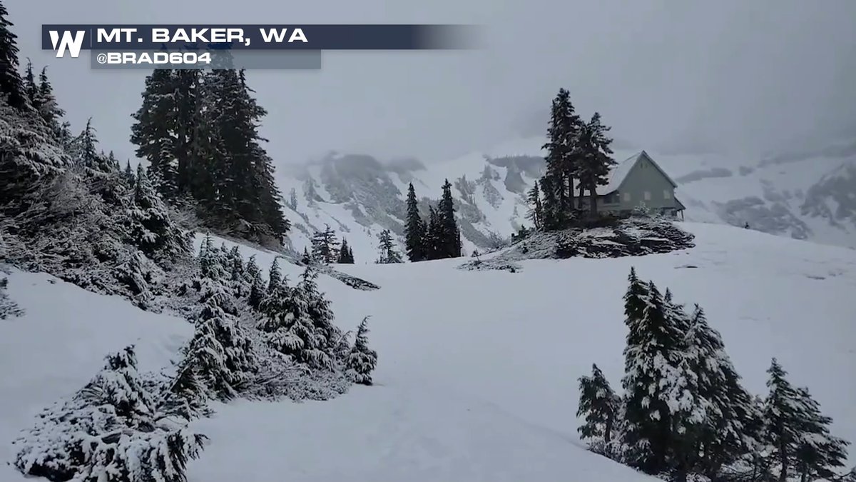 The Cascades aren't done with winter just yet! Check out the snow at 3500' in Washington! #WAwx