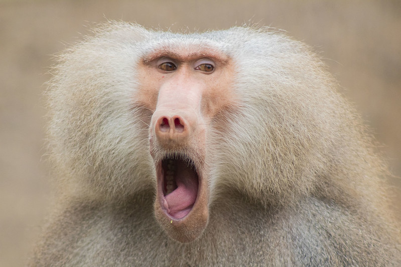 Parquemet tweet media