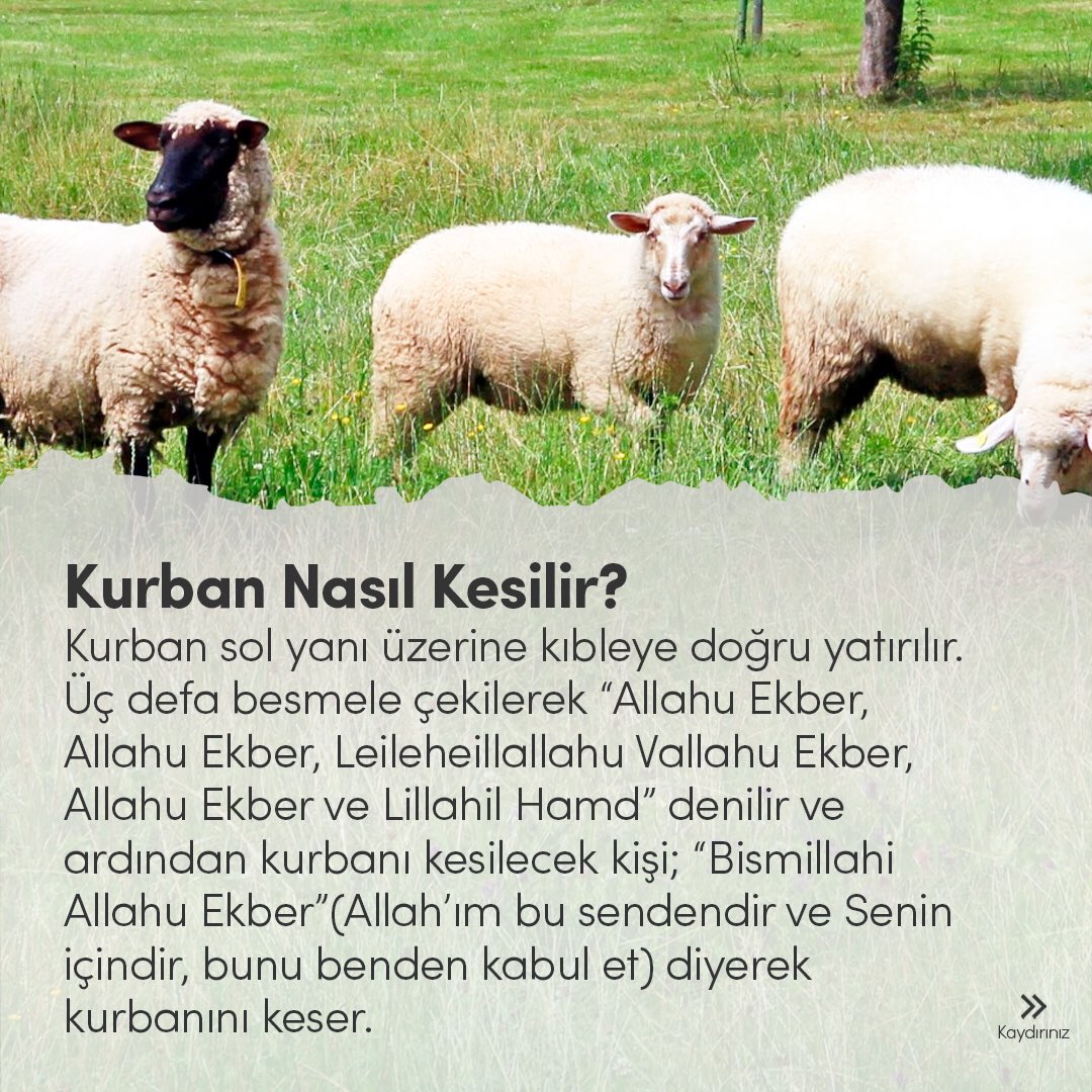 DavetteOncu's tweet photo. Kurban Nasıl Kesilir?   Kurban Nedir   https://t.co/kNfYKHdSYG