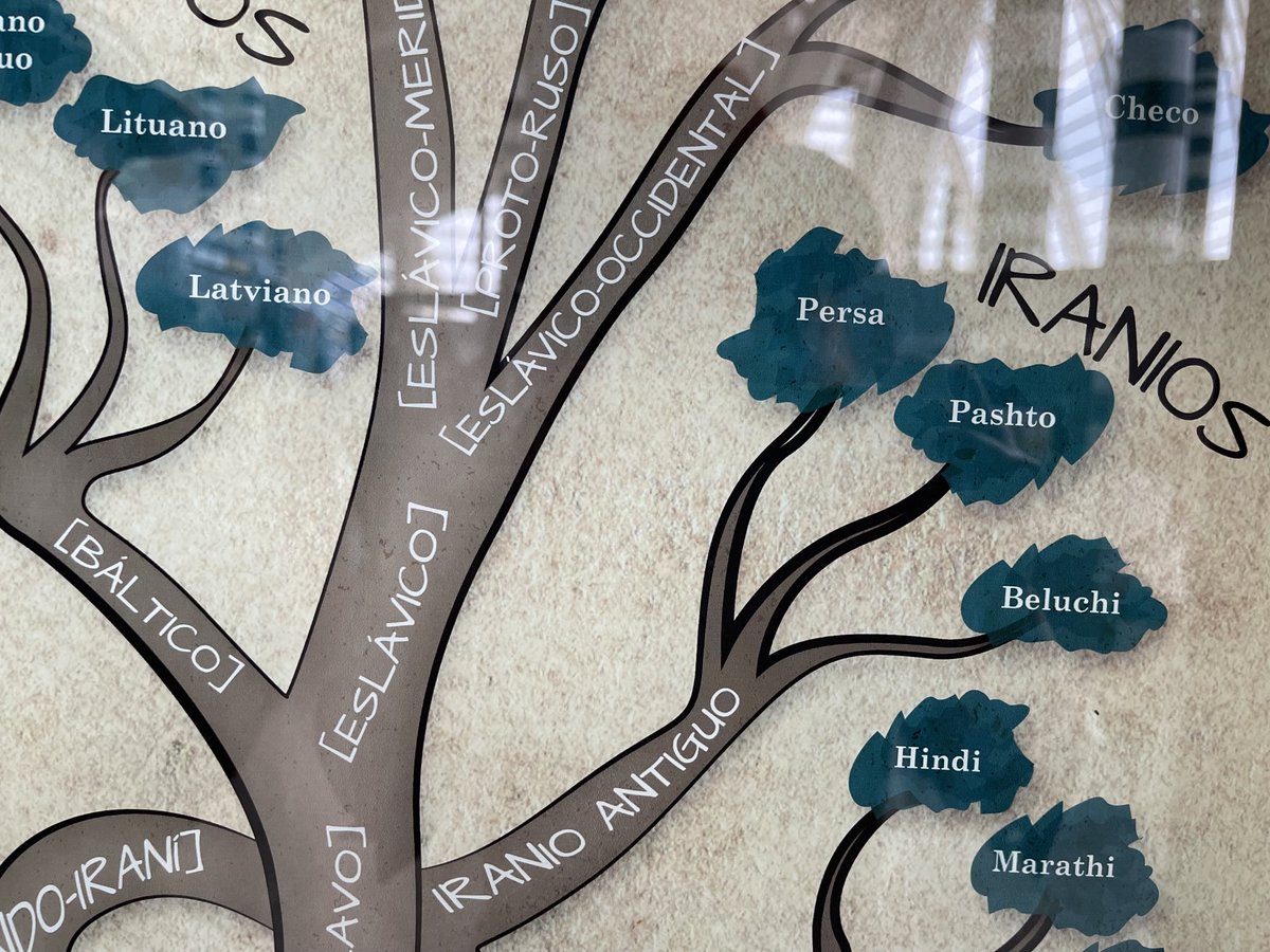 AnaBayat's tweet photo. Persian in English 
Persa en español 
Persan en français
Persisch auf Deutch 
فارسی به فارسی

#Settingtherecordstraight #languagematters #terminology #lexicon #linguistics https://t.co/p0Plt84QZg
